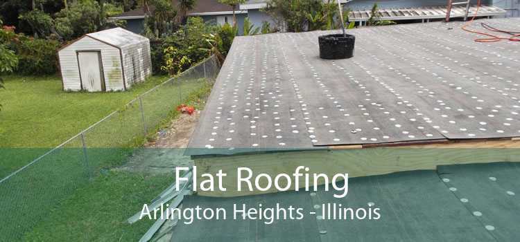 Flat Roofing Arlington Heights - Illinois