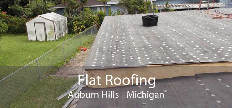 Flat Roofing Auburn Hills - Michigan
