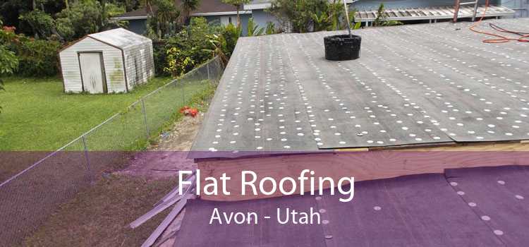 Flat Roofing Avon - Utah