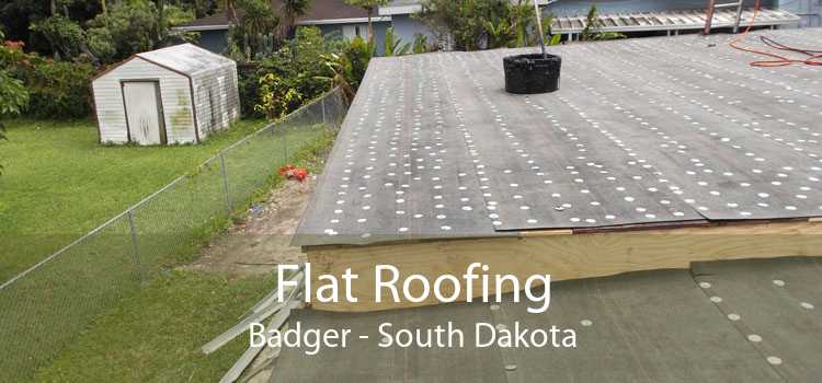Flat Roofing Badger - South Dakota