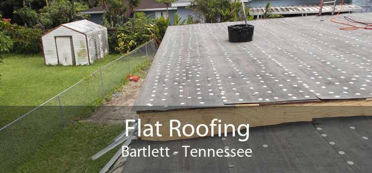 Flat Roofing Bartlett - Tennessee