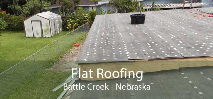 Flat Roofing Battle Creek - Nebraska