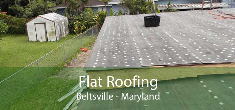 Flat Roofing Beltsville - Maryland