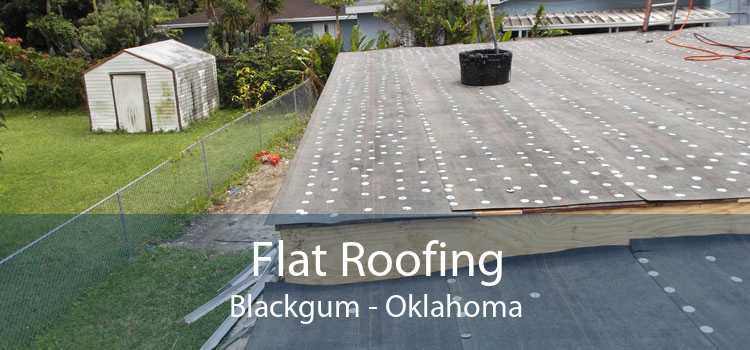Flat Roofing Blackgum - Oklahoma