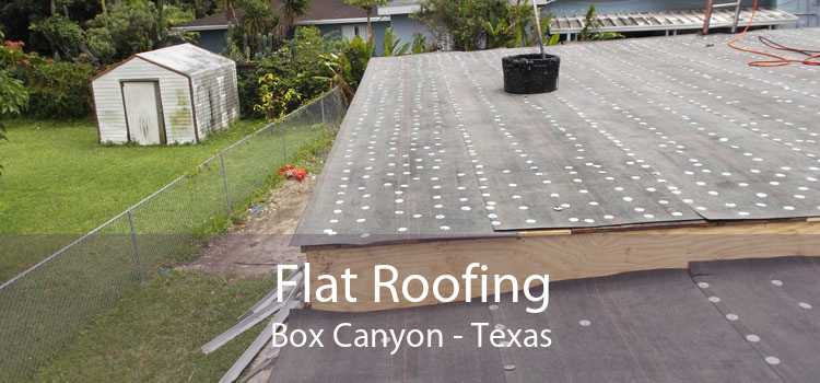 Flat Roofing Box Canyon - Texas