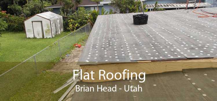 Flat Roofing Brian Head - Utah