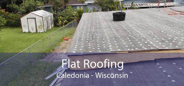 Flat Roofing Caledonia - Wisconsin