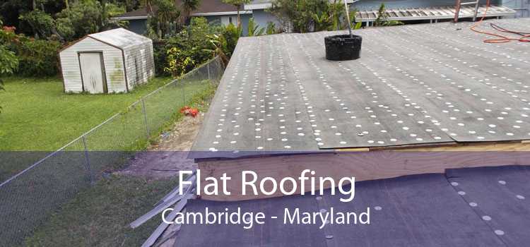 Flat Roofing Cambridge - Maryland
