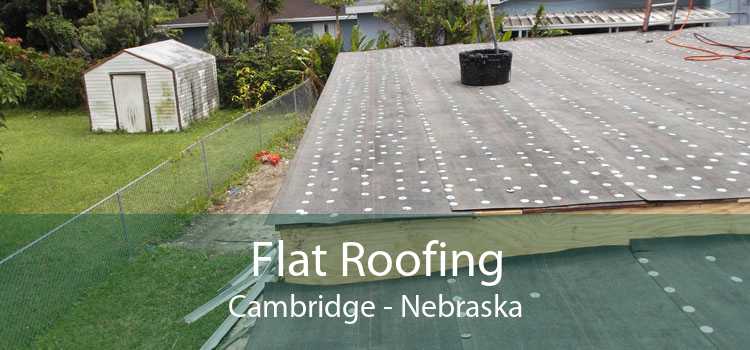 Flat Roofing Cambridge - Nebraska