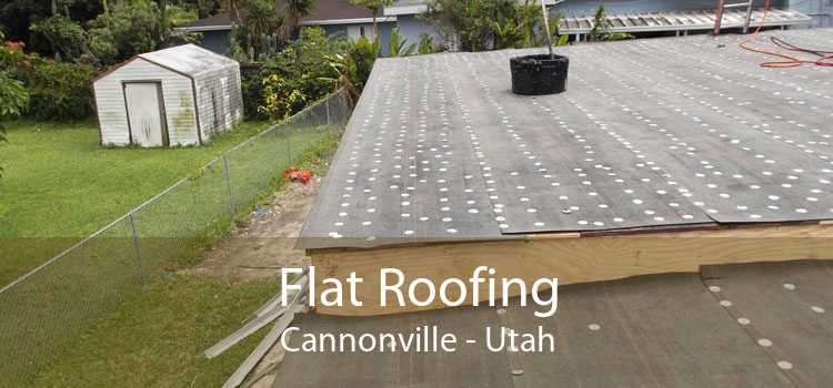 Flat Roofing Cannonville - Utah