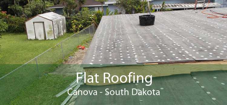 Flat Roofing Canova - South Dakota