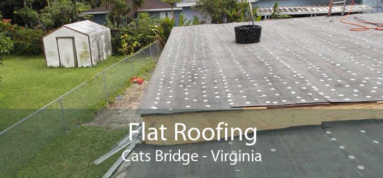 Flat Roofing Cats Bridge - Virginia