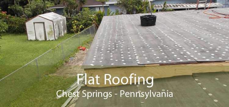 Flat Roofing Chest Springs - Pennsylvania