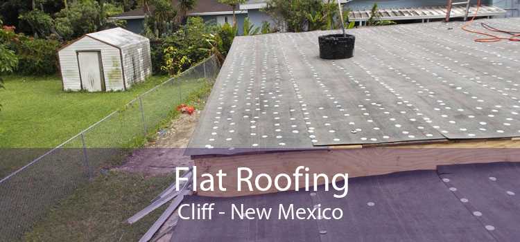 Flat Roofing Cliff - New Mexico