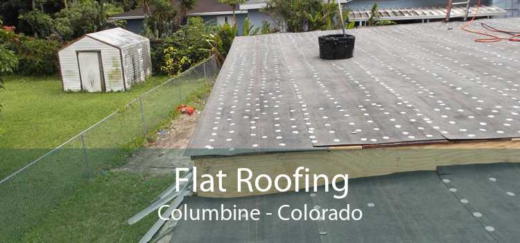 Flat Roofing Columbine - Colorado
