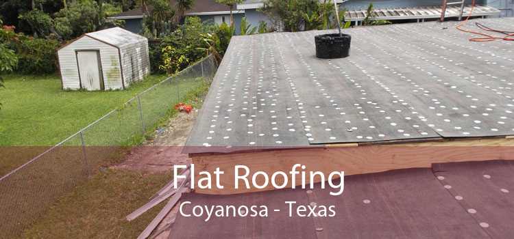 Flat Roofing Coyanosa - Texas