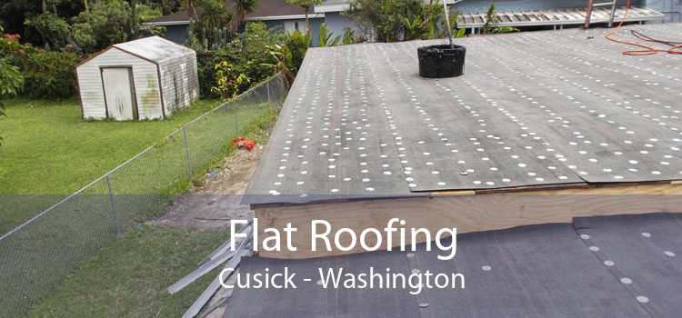 Flat Roofing Cusick - Washington