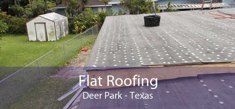Flat Roofing Deer Park - Texas