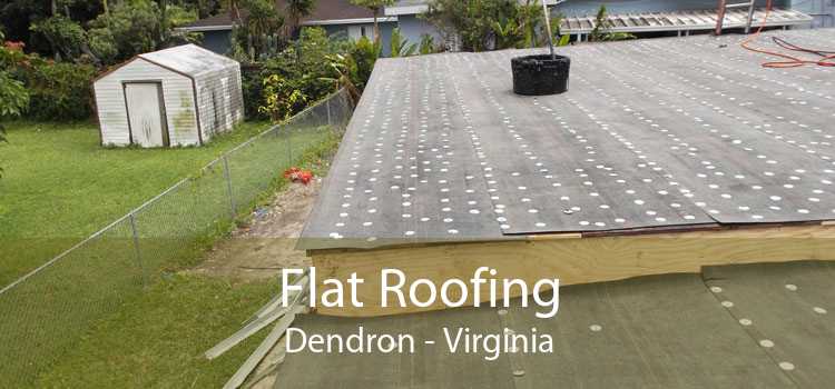 Flat Roofing Dendron - Virginia