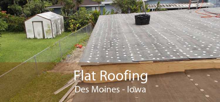 Flat Roofing Des Moines - Iowa
