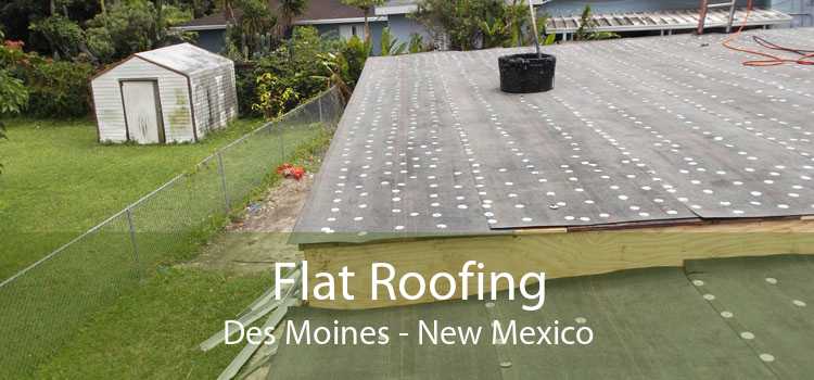 Flat Roofing Des Moines - New Mexico