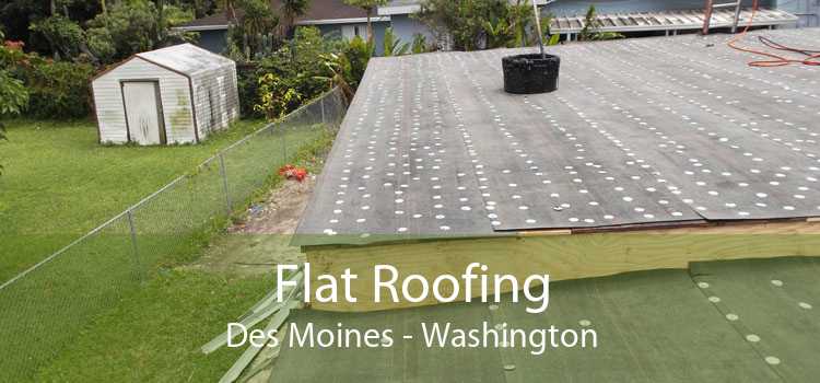 Flat Roofing Des Moines - Washington