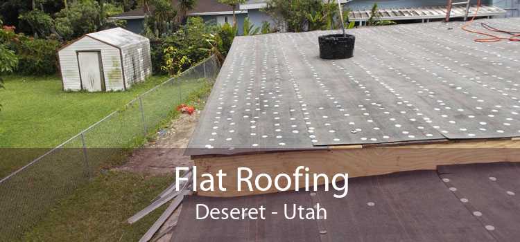 Flat Roofing Deseret - Utah