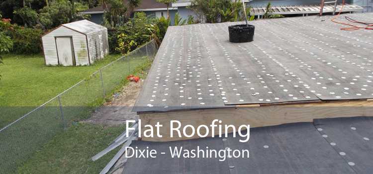 Flat Roofing Dixie - Washington