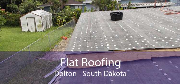 Flat Roofing Dolton - South Dakota