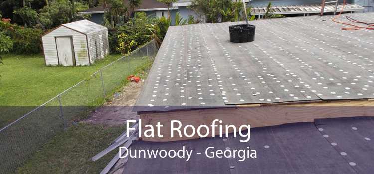 Flat Roofing Dunwoody - Georgia