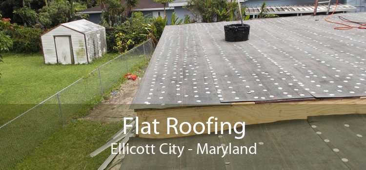 Flat Roofing Ellicott City - Maryland