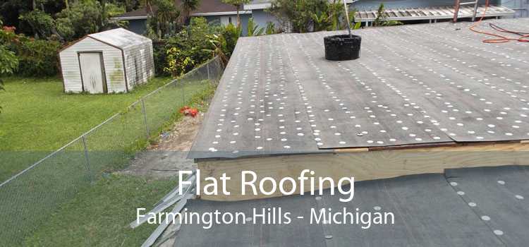 Flat Roofing Farmington Hills - Michigan