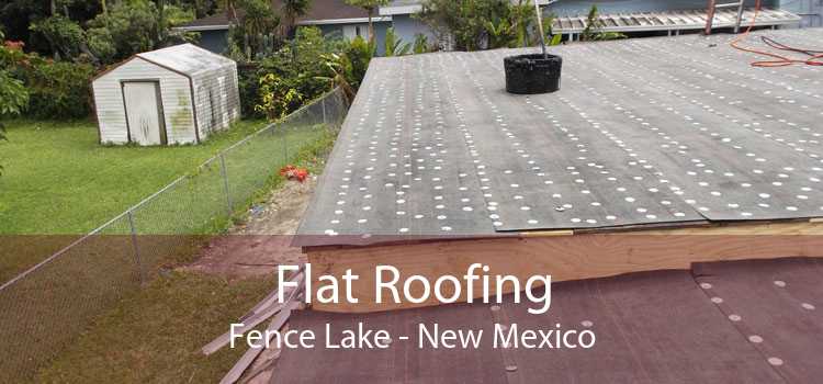 Flat Roofing Fence Lake - New Mexico