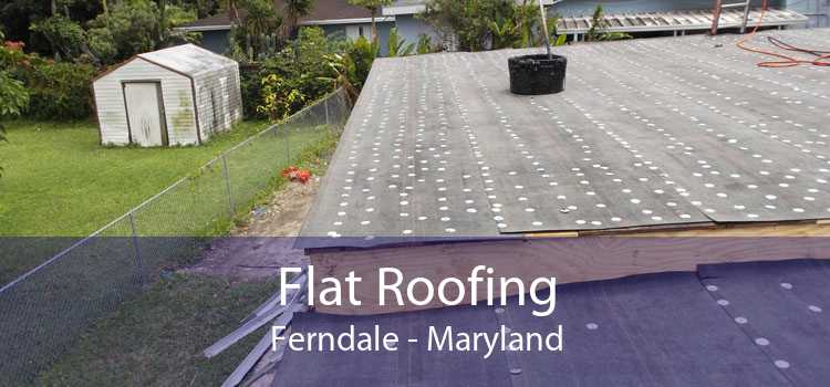 Flat Roofing Ferndale - Maryland