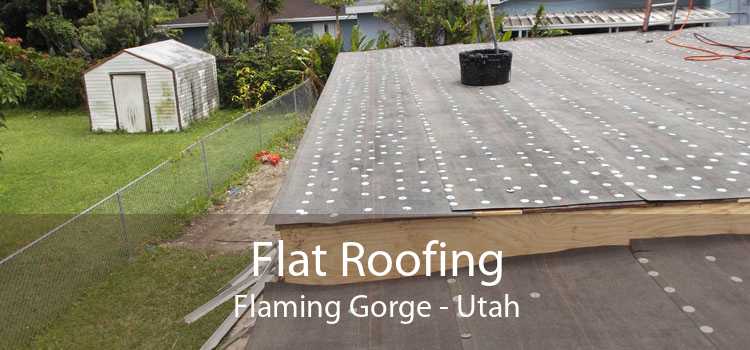 Flat Roofing Flaming Gorge - Utah