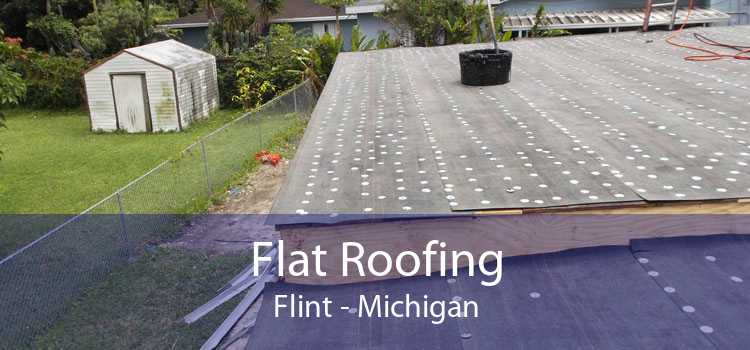 Flat Roofing Flint - Michigan