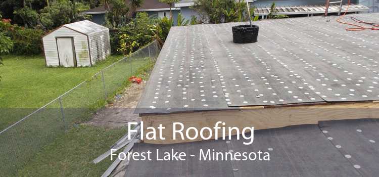 Flat Roofing Forest Lake - Minnesota