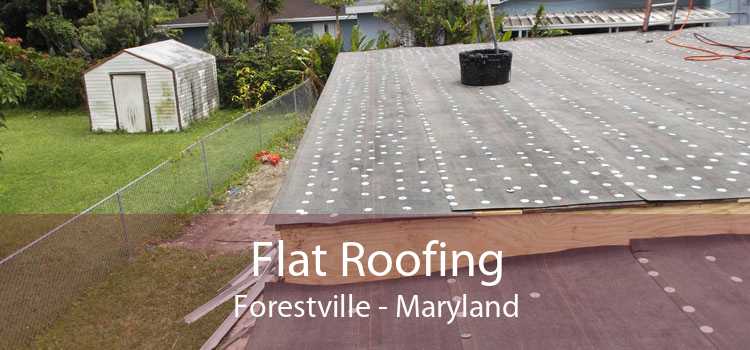 Flat Roofing Forestville - Maryland