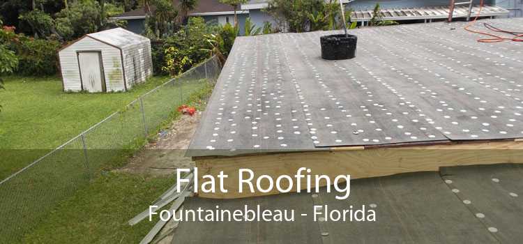 Flat Roofing Fountainebleau - Florida