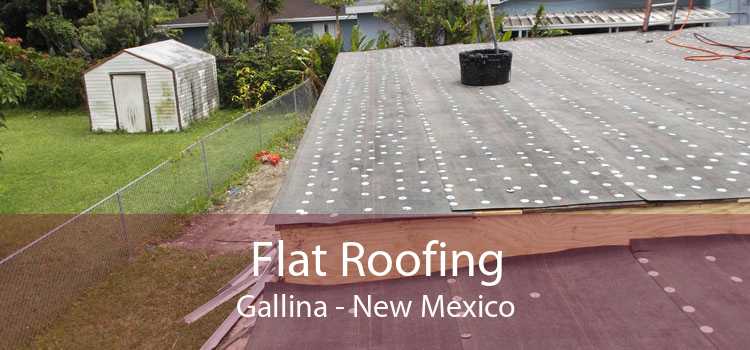 Flat Roofing Gallina - New Mexico