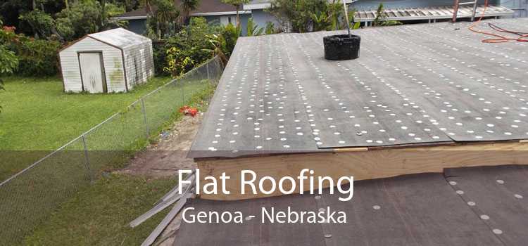 Flat Roofing Genoa - Nebraska