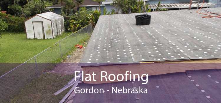Flat Roofing Gordon - Nebraska