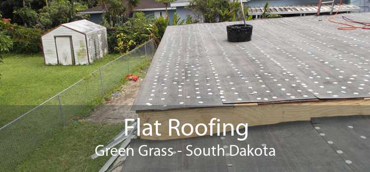 Flat Roofing Green Grass - South Dakota