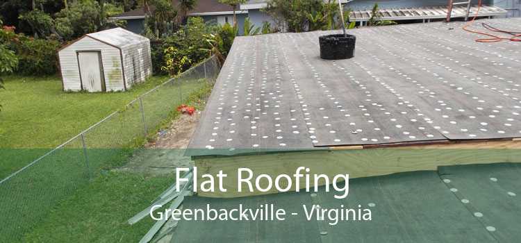 Flat Roofing Greenbackville - Virginia