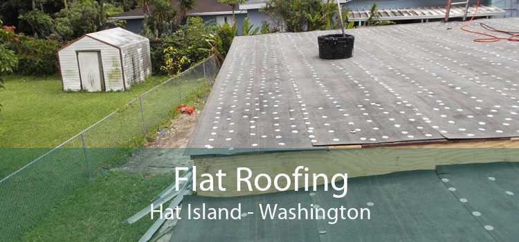 Flat Roofing Hat Island - Washington