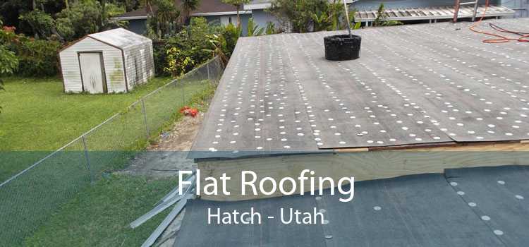 Flat Roofing Hatch - Utah