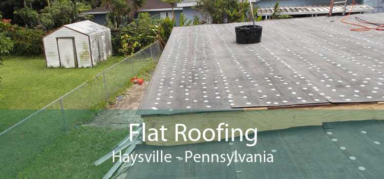 Flat Roofing Haysville - Pennsylvania