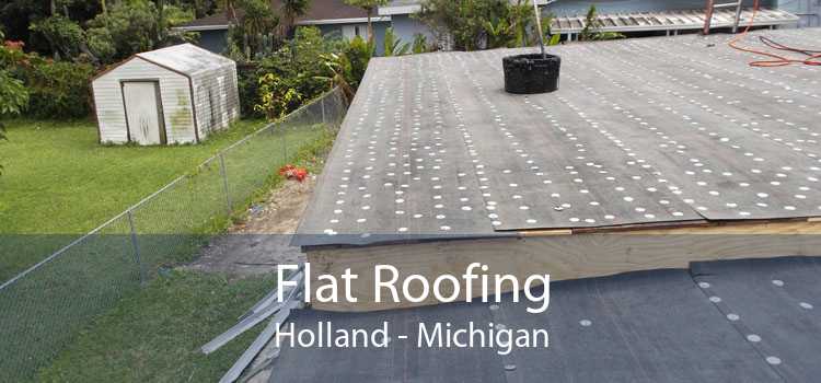Flat Roofing Holland - Michigan
