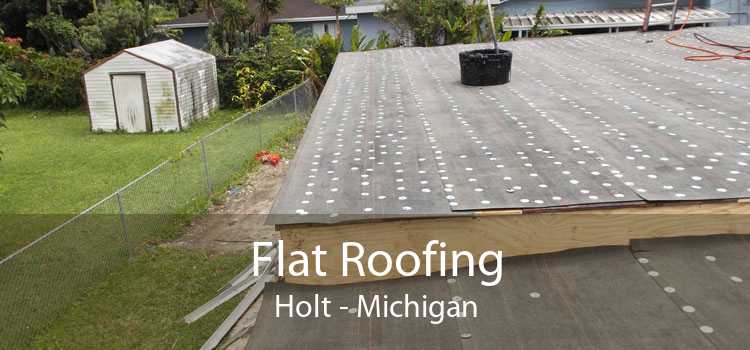 Flat Roofing Holt - Michigan