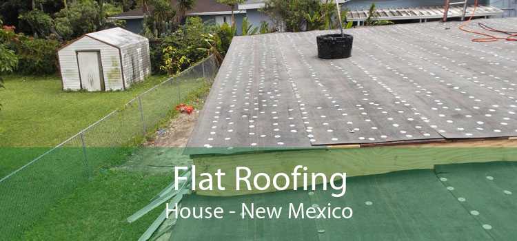 Flat Roofing House - New Mexico